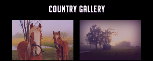 Country Gallery | Images by GB Gary Berman
